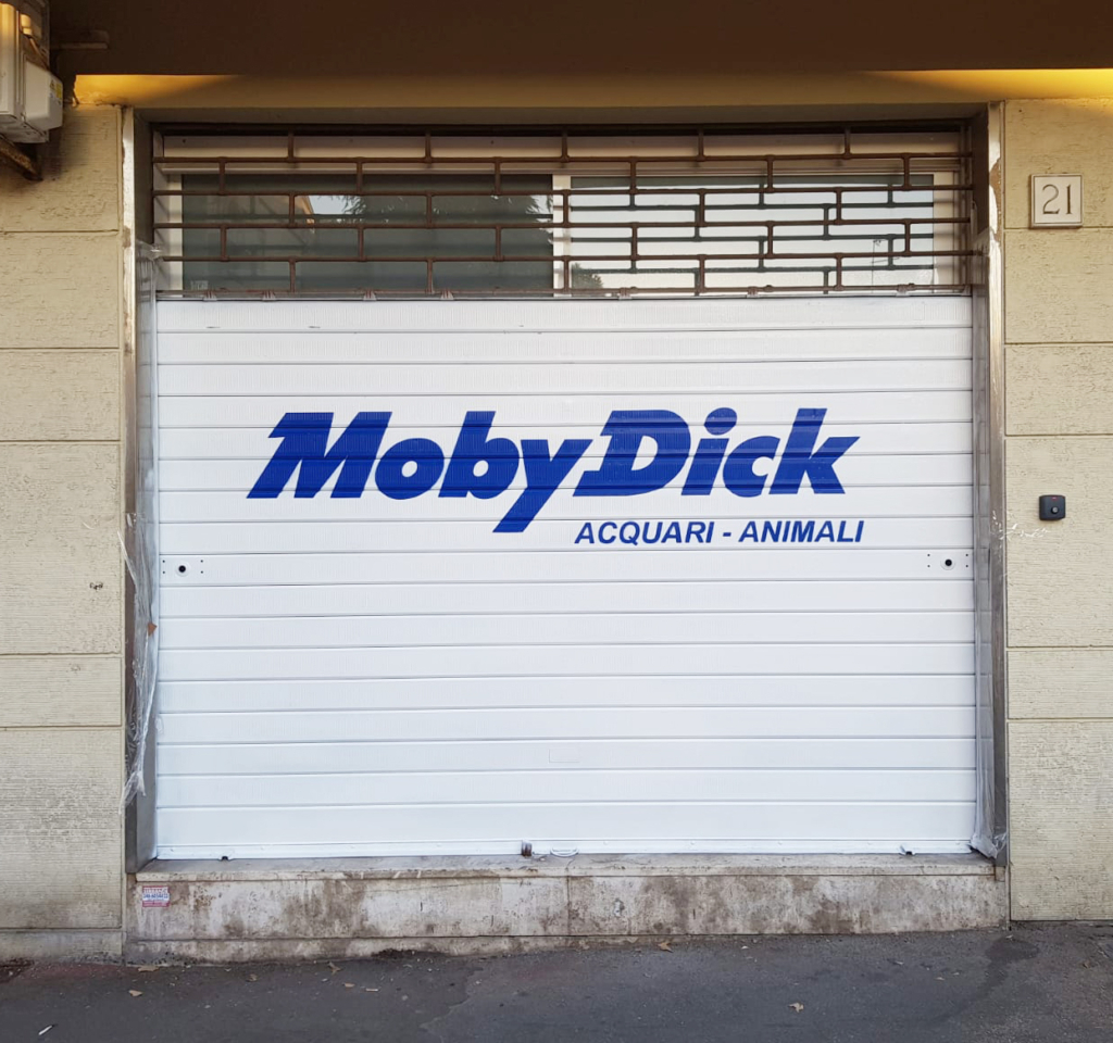 moby dick 2
