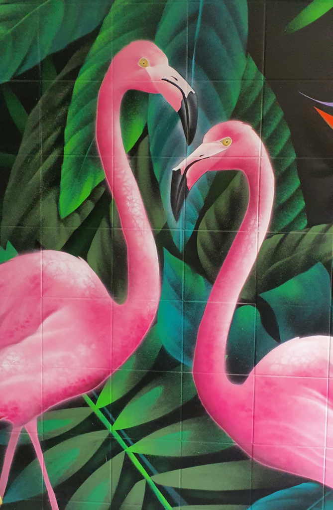 FENIZOOM